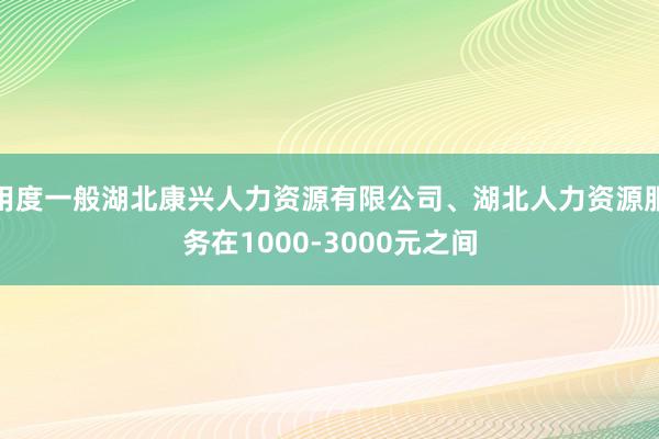用度一般湖北康兴人力资源有限公司、湖北人力资源服务在1000-3000元之间